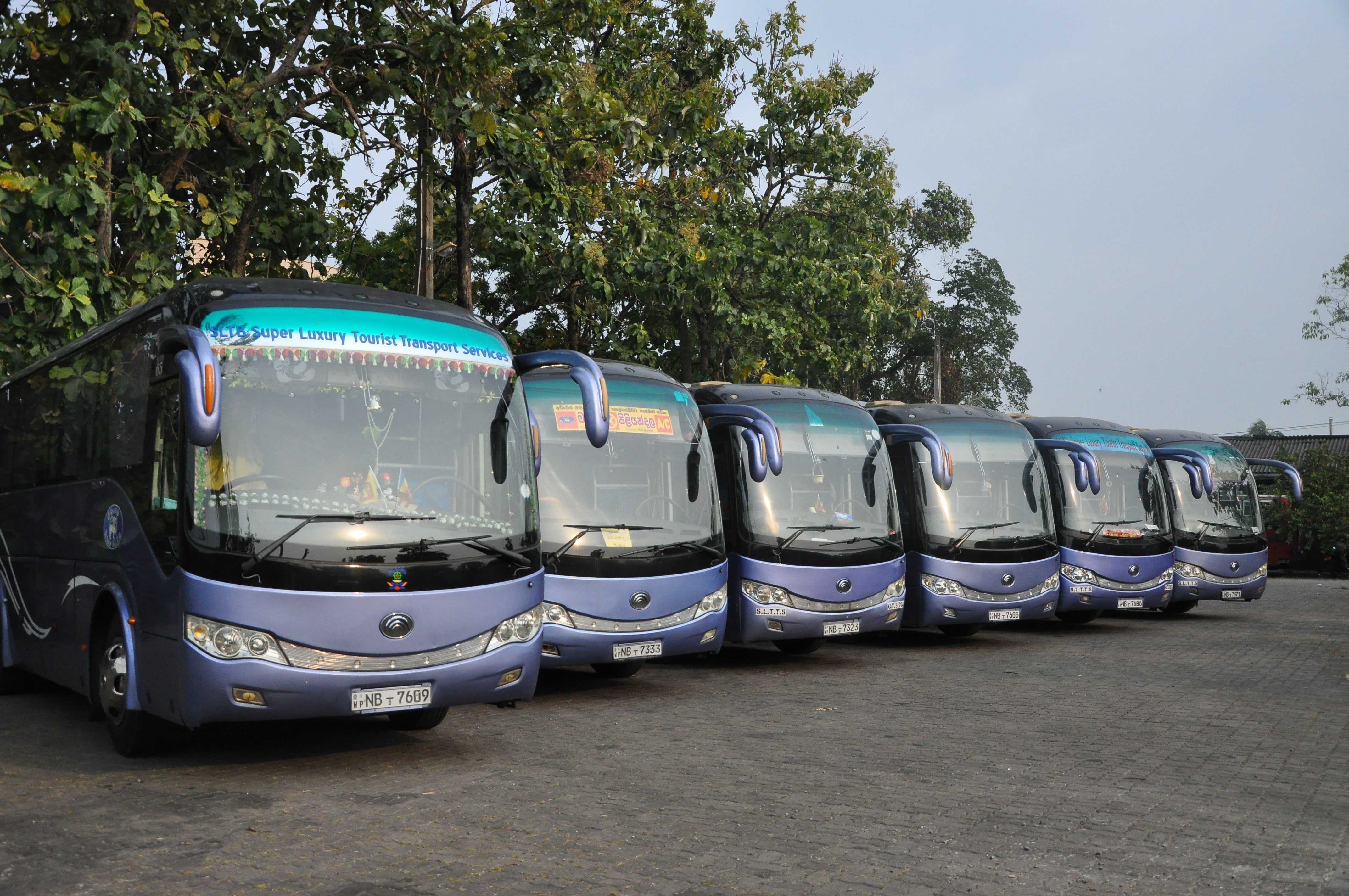 Sri Lanka Transport Board